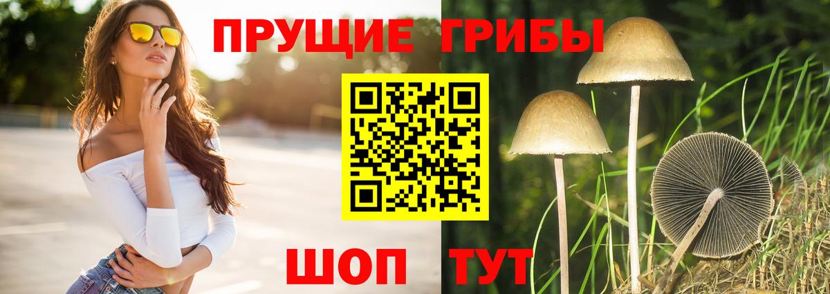 Белая Калитва  Псилоцибиновые грибы Psilocybine cubensis  Вход с VPN 